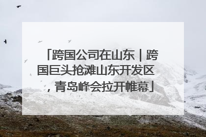 跨国公司在山东｜跨国巨头抢滩山东开发区，青岛峰会拉开帷幕