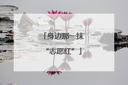 身边那一抹“志愿红”