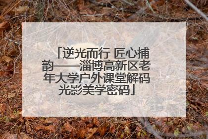 逆光而行 匠心捕韵——淄博高新区老年大学户外课堂解码光影美学密码