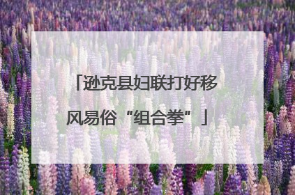 逊克县妇联打好移风易俗“组合拳”