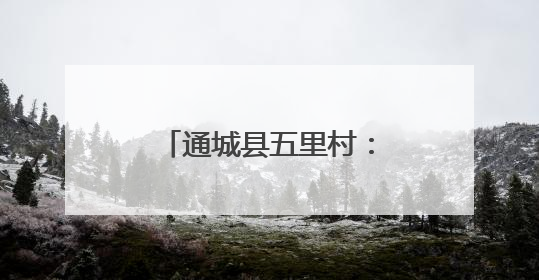 通城县五里村：壮大集体经济 赋能乡村振兴