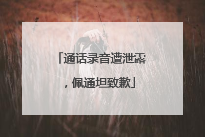 通话录音遭泄露，佩通坦致歉