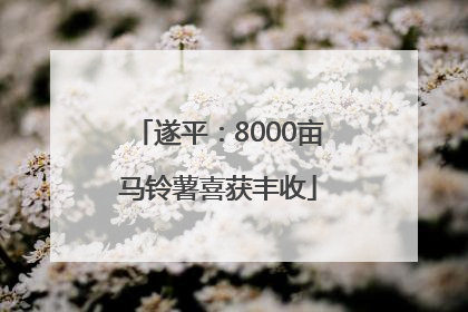 遂平：8000亩马铃薯喜获丰收