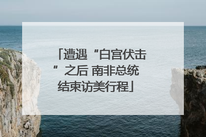 遭遇“白宫伏击”之后 南非总统结束访美行程
