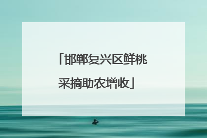 邯郸复兴区鲜桃采摘助农增收