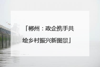 郴州：政企携手共绘乡村振兴新图景