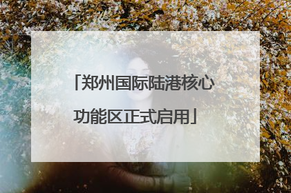 郑州国际陆港核心功能区正式启用