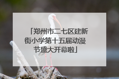 郑州市二七区建新街小学第十五届动漫节盛大开幕啦