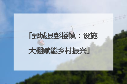 鄄城县彭楼镇：设施大棚赋能乡村振兴