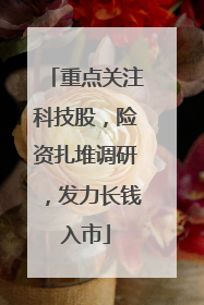 重点关注科技股，险资扎堆调研，发力长钱入市