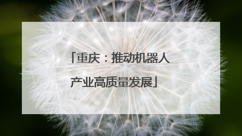 重庆：推动机器人产业高质量发展