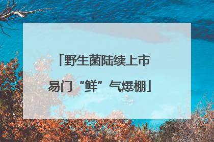 野生菌陆续上市 易门“鲜”气爆棚