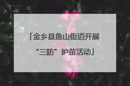 金乡县鱼山街道开展“三防”护苗活动
