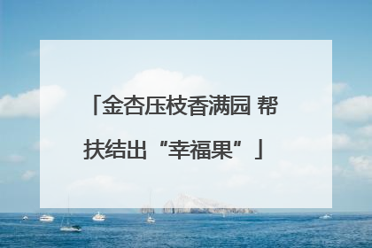 金杏压枝香满园 帮扶结出“幸福果”
