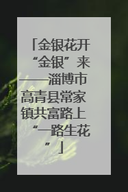 金银花开“金银”来——淄博市高青县常家镇共富路上“一路生花”