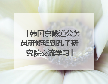韩国京畿道公务员研修班到孔子研究院交流学习
