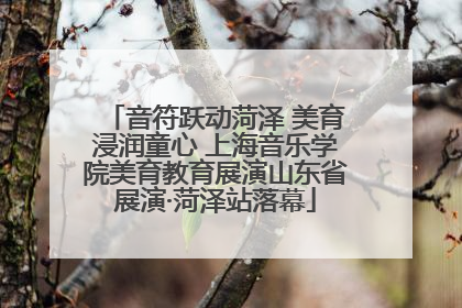 音符跃动菏泽 美育浸润童心 上海音乐学院美育教育展演山东省展演·菏泽站落幕