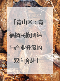 青山区：青福镇民族团结与产业升级的双向奔赴