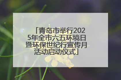 青岛市举行2025年全市六五环境日暨环保世纪行宣传月活动启动仪式