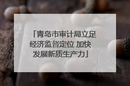 青岛市审计局立足经济监督定位 加快发展新质生产力