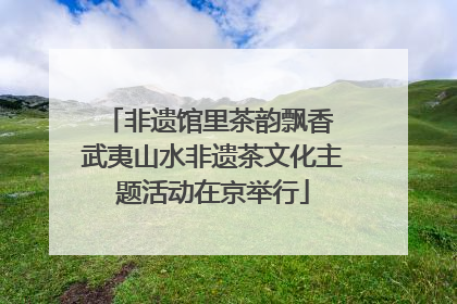 非遗馆里茶韵飘香 武夷山水非遗茶文化主题活动在京举行