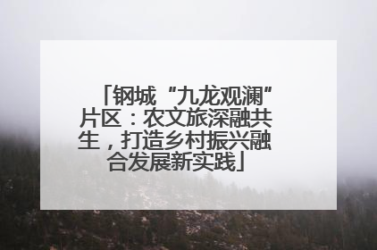 钢城“九龙观澜”片区：农文旅深融共生，打造乡村振兴融合发展新实践