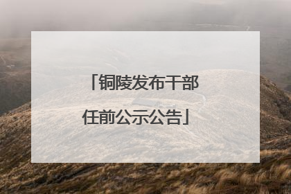 铜陵发布干部任前公示公告