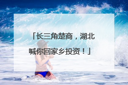 长三角楚商，湖北喊你回家乡投资！