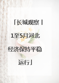 长城观察丨1至5月河北经济保持平稳运行