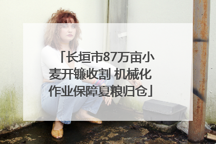 长垣市87万亩小麦开镰收割 机械化作业保障夏粮归仓
