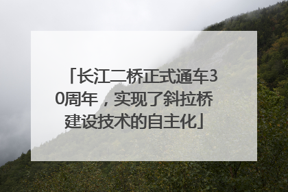 长江二桥正式通车30周年，实现了斜拉桥建设技术的自主化