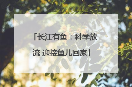 长江有鱼：科学放流 迎接鱼儿回家