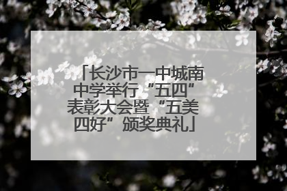 长沙市一中城南中学举行“五四”表彰大会暨“五美四好”颁奖典礼
