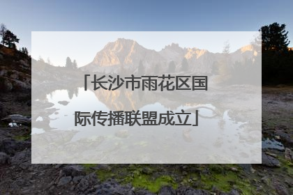 长沙市雨花区国际传播联盟成立