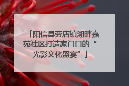 阳信县劳店镇湖畔嘉苑社区打造家门口的“光影文化盛宴”
