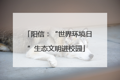 阳信：“世界环境日”生态文明进校园