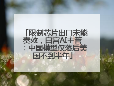 限制芯片出口未能奏效，白宫AI主管：中国模型仅落后美国不到半年