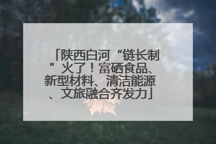 陕西白河“链长制”火了！富硒食品、新型材料、清洁能源、文旅融合齐发力