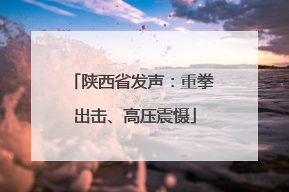 陕西省发声：重拳出击、高压震慑