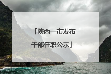 陕西一市发布干部任职公示