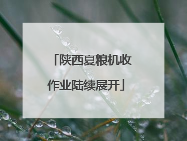 陕西夏粮机收作业陆续展开