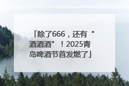 除了666，还有“酒酒酒”！2025青岛啤酒节首发燃了