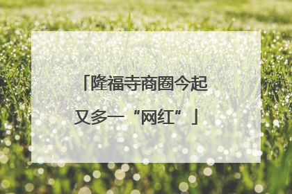 隆福寺商圈今起又多一“网红”