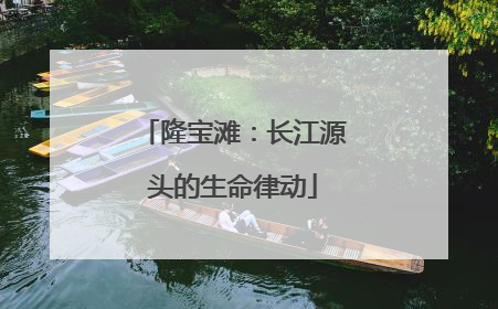 隆宝滩：长江源头的生命律动