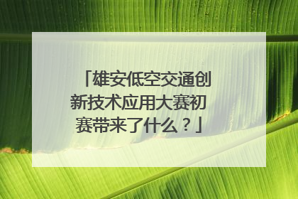 雄安低空交通创新技术应用大赛初赛带来了什么？