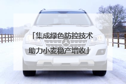 集成绿色防控技术助力小麦稳产增收