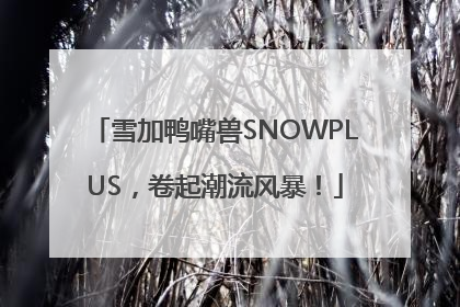 雪加鸭嘴兽SNOWPLUS，卷起潮流风暴！