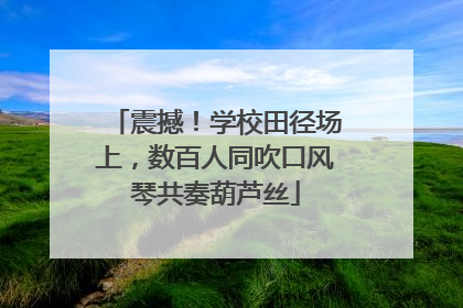 震撼！学校田径场上，数百人同吹口风琴共奏葫芦丝