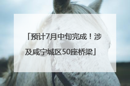 预计7月中旬完成！涉及咸宁城区50座桥梁