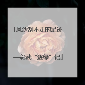 风沙刮不走的足迹——彰武“逐绿”记